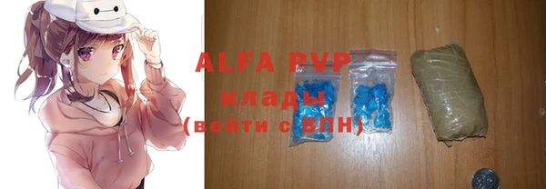 дмт Белокуриха