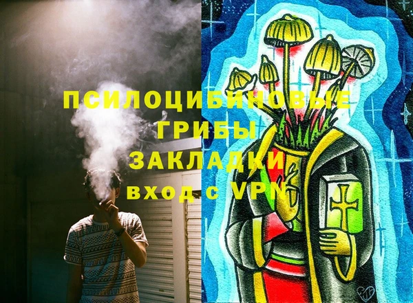 дмт Белокуриха