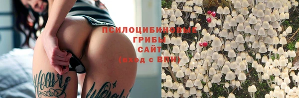 крисы Нязепетровск