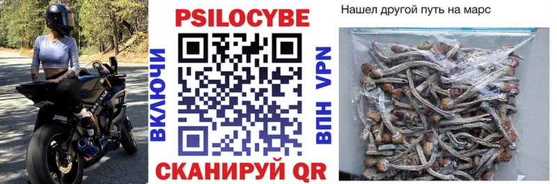 Купить закладки  Верхняя Салда  Галлюциногенные грибы Cubensis 